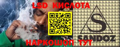 spice Новозыбков