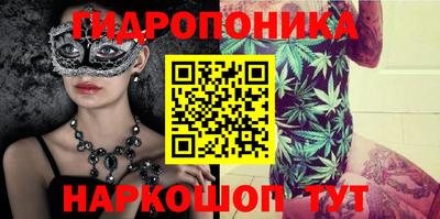 МДПВ Новодвинск